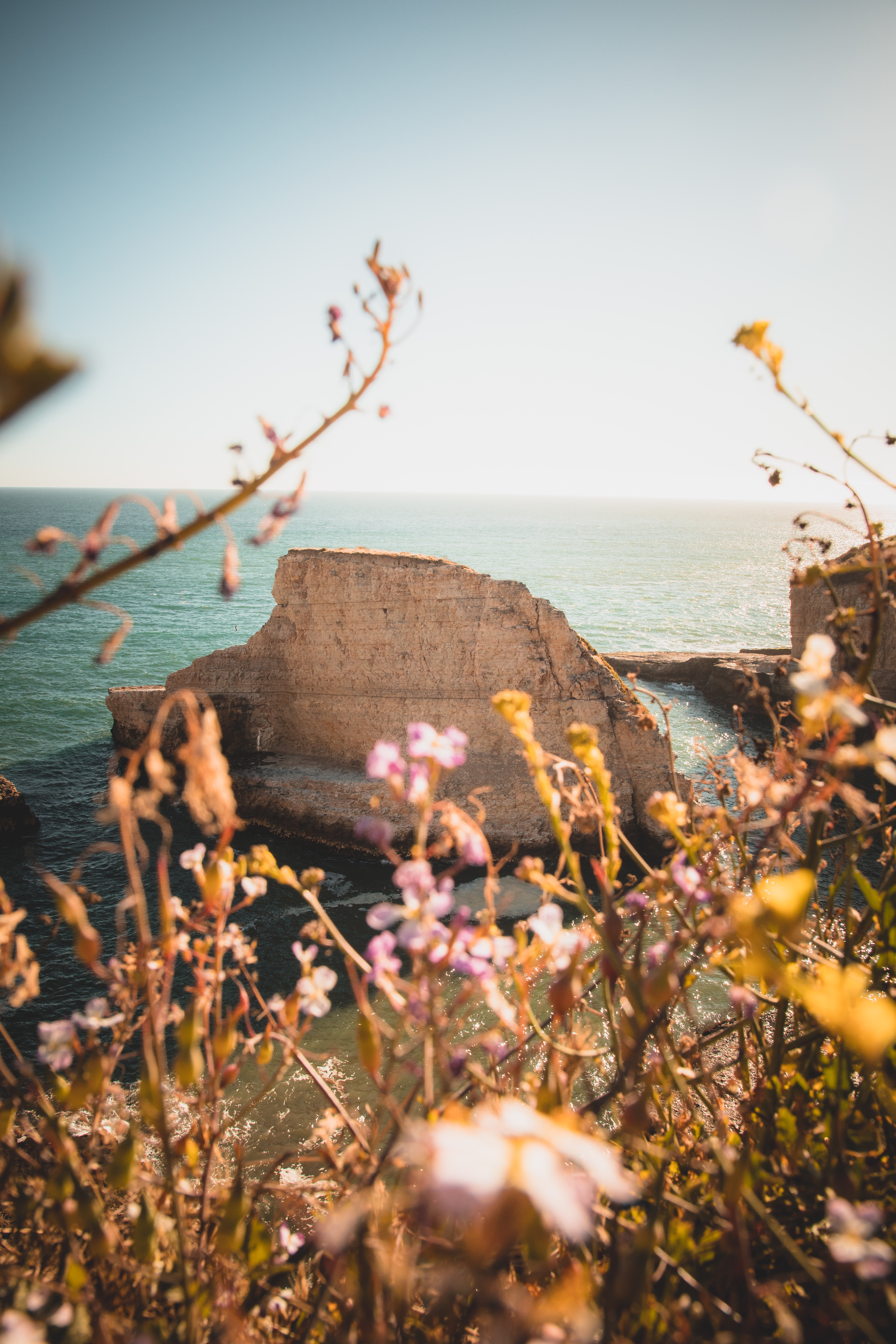 Coastal landscape